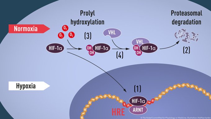 biotech info articles egrcsp xoaaybqe 