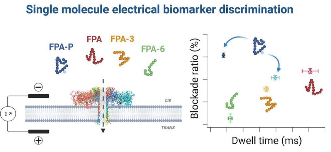 biotech info articles le nanopore identifie des marqueurs de pathologies 