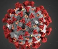 biotech info articles edito la pandemie du coronavirus va nous obliger a repenser nos societes 