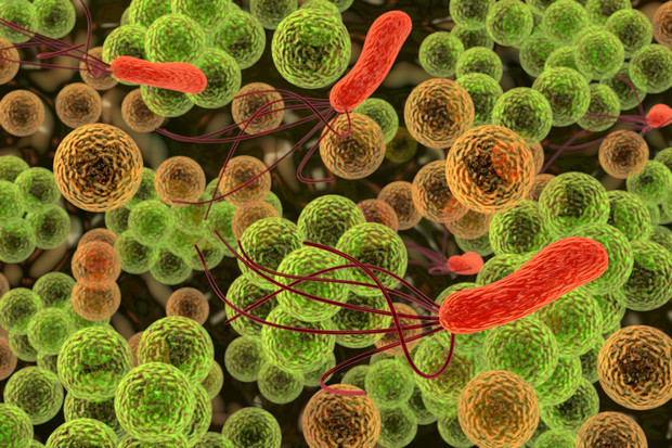 biotech info uncategorized bacteria mbio 