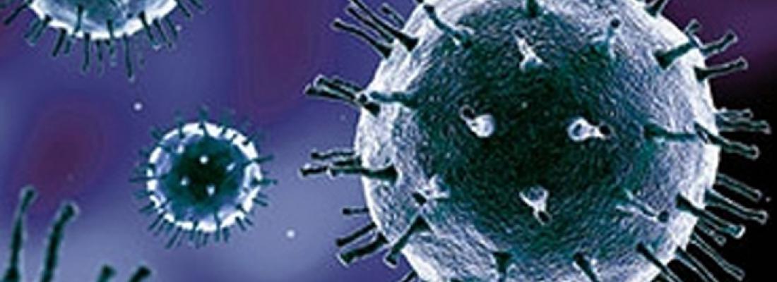 biotech info uncategorized visuel actu grippe 